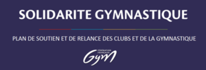 PLAN DE RELANCE DES CLUBS