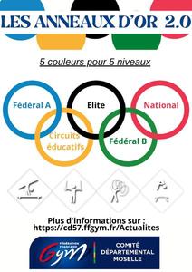 LES ANNEAUX D'OR (ESSAI) 
